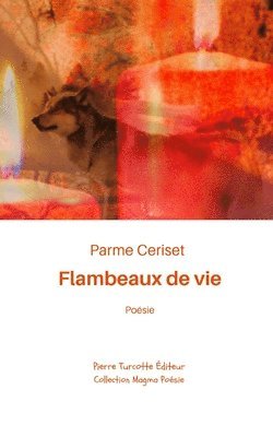 bokomslag Flambeaux de vie