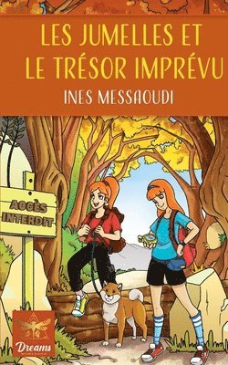 bokomslag Les Jumelles et le Trésor imprévu