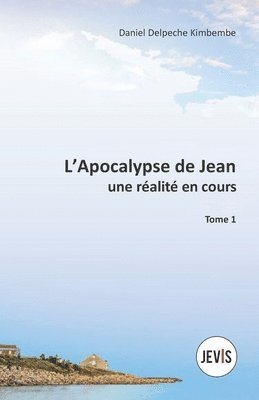 bokomslag L'Apocalypse de Jean, une réalité en cours
