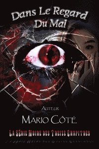 bokomslag La série noire des treize chapitres: Dans le regard du mal