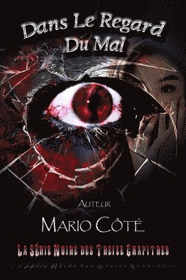 La série noire des treize chapitres: Dans le regard du mal