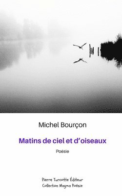 bokomslag Matins de ciel et d'oiseaux