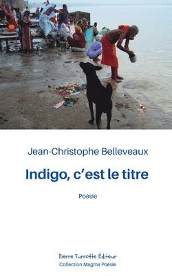 bokomslag Indigo, c'est le titre