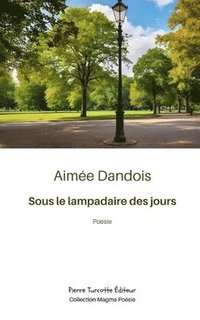 bokomslag Sous le lampadaire des jours