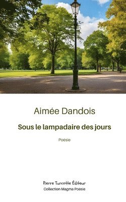 bokomslag Sous le lampadaire des jours