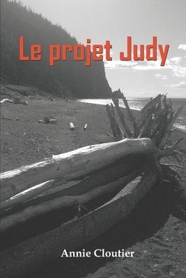 bokomslag Le projet Judy