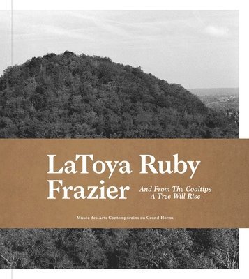 bokomslag Latoya Ruby Frazier: And from the Coaltips a Tree Will Rise