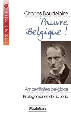 bokomslag Pauvre Belgique !