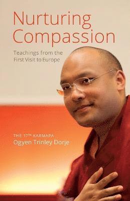 bokomslag Nurturing Compassion