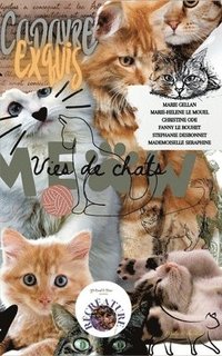 bokomslag Vies de chats