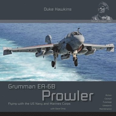 bokomslag Grumman EA-6B Prowler: Aircraft in Detail