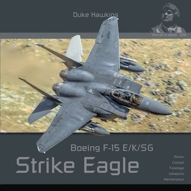 bokomslag Boeing F-15 E/K/Sg Strike Eagle: Aircraft in Detail