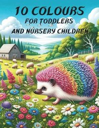 bokomslag 10 Colours for toddlers and nursery children 1-4 years: Book for babies and very young children to discover the 10 colours.