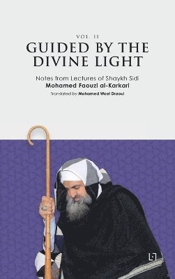 Guided By The Divine Light (Vol. II)