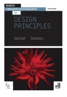 Basics Creative Photography: Design Principles 1