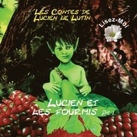 bokomslag Les Contes de Lucien le Lutin