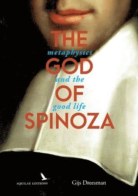 bokomslag God of Spinoza