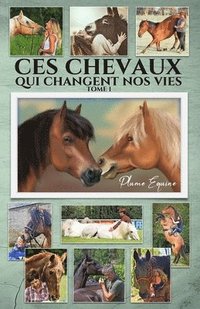 bokomslag Ces Chevaux qui changent nos Vies - Tome 1