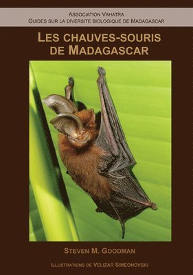 bokomslag Les ChauvesSouris de Madagascar