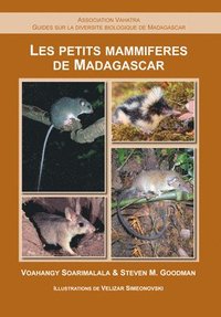 bokomslag Les Petits Mammifres de Madagascar