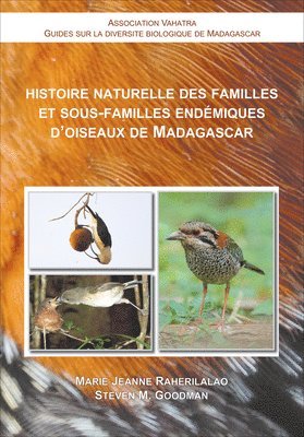 Histoire Naturelle des Familles et SousFamilles Endemiques dOiseaux de Madagascar 1