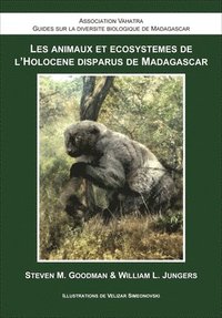 bokomslag Les Animaux et cosystmes de l`Holocne Disparus de Madagascar