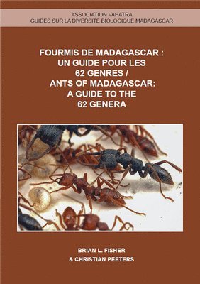 bokomslag Ants of Madagascar: A Guide to the 62 Genera
