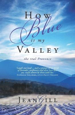 bokomslag How Blue is My Valley