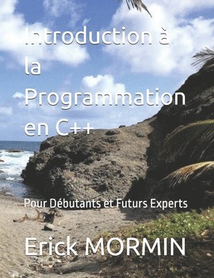 bokomslag Introduction à la Programmation en C++