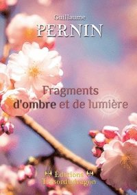 bokomslag Fragments d'ombre et de lumière