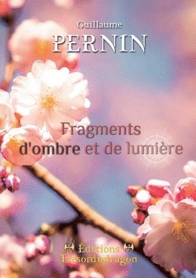 Guillaume Pernin - Fragments d'ombre et de lumière, Häftad