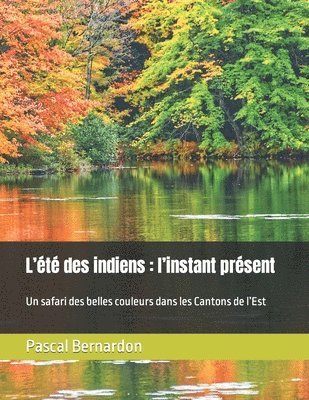 bokomslag L'été des indiens