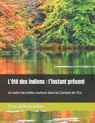 L'ete des indiens 1