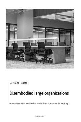 Disembodied large organizations 1