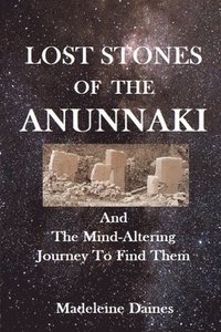 bokomslag Lost Stones of the Anunnaki