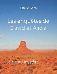 bokomslag Les enquêtes de David et Alicia