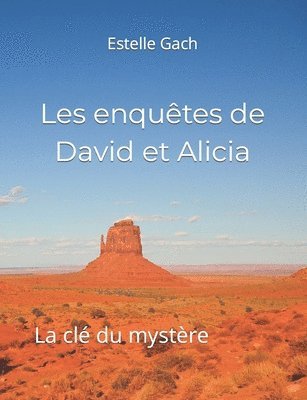 bokomslag Les enquetes de David et Alicia