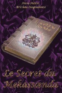 bokomslag Le secret du Mekassaenda