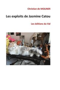 bokomslag Les exploits de Jasmine Catou: Les éditions du Val