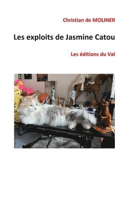 Christian De Moliner - Les exploits de Jasmine Catou: Les éditions du Val, Häftad