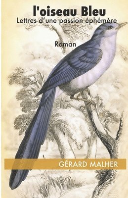 bokomslag L'oiseau Bleu: Lettres d'une passion éphémere