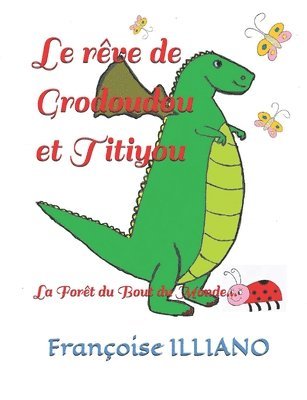 bokomslag rêve de Grodoudou et Titiyou