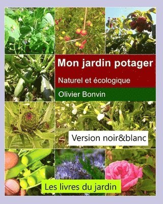 Mon jardin potager 1