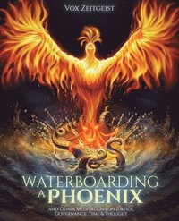 bokomslag Waterboarding a Phoenix