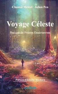 bokomslag Voyage Celeste