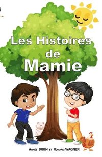 bokomslag Les Histoires de mamie