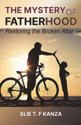 bokomslag Mystery of Fatherhood