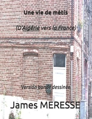 bokomslag Une vie de métis (D'Algérie vers la France): Version bande dessinée
