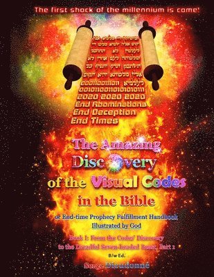 The Amazing Discovery of the Visual Codes in the Bible Or End-time Prophecy Fulfillment Handbook Illustrated by God: Book I: From the Codes' Discovery