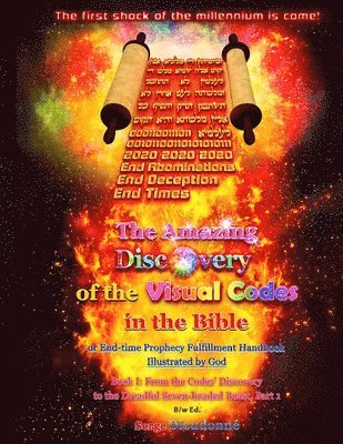 The Amazing Discovery of the Visual Codes in the Bible Or End-time Prophecy Fulfillment Handbook Illustrated by God: Book I: From the Codes' Discovery 1